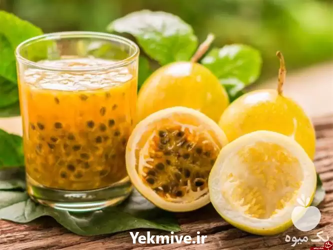 کارگاه آموزشی گلخانه پشن فروت در گروه دوره آموزش کشاورزی در یکمیوه -عکس1