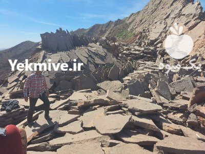 نصب فروش سنگ لاشه در تهران در گروه سازنده در یکمیوه -عکس2