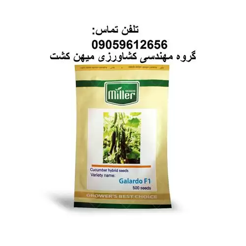 فروش بذر خیار گلخانه ای گالاردو در گروه خرید و فروش بذر خیار در یکمیوه -عکس1