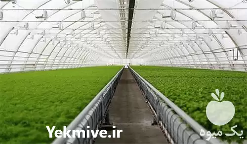 فروش ساخت انواع سازه های گلخانه در هرمز در گروه خرید و فروش سوله و سازه گلخانه در یکمیوه -عکس1