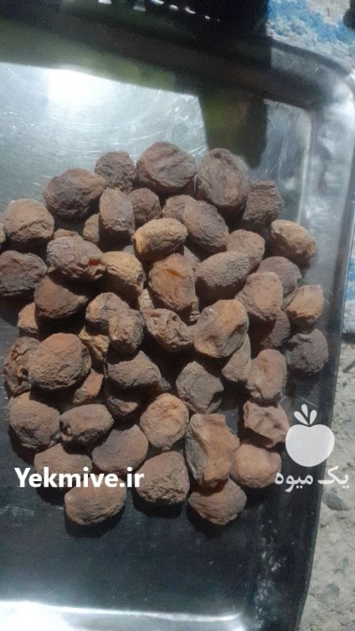 فروش زردآلو خشک در گروه خرید و فروش زردآلو در یکمیوه -عکس4