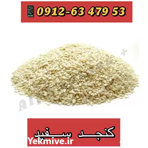 فروش خرید دانه کنجد روغنی در تهران در گروه انواع محصولات غذایی در یکمیوه -عکس1