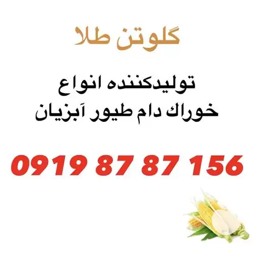 قیمت خرید عرضه گلوتن گندم ذرت در تهران در گروه خوراک دام و طیور در یکمیوه -عکس1