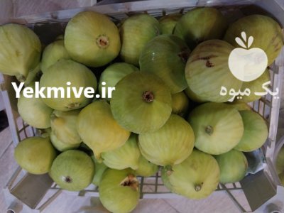 انجیر تازه و انجیر خشک در گرگان در گروه خرید و فروش انجیر در یکمیوه -عکس2