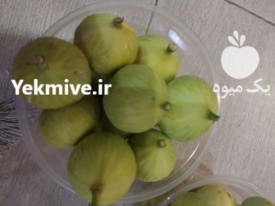 انجیر تازه و انجیر خشک در گرگان در گروه خرید و فروش انجیر در یکمیوه -عکس3