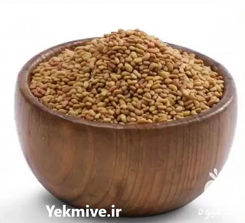 فروش بذر یونجه در کهکیلویه در گروه خرید و فروش بذر یونجه در یکمیوه -عکس1