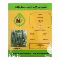 قیمت فروش بذر خیار کیهان نیکرسون در سنندج در گروه خرید و فروش بذر خیار در یکمیوه