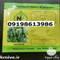 قیمت خرید بذر خیار کیهان اصل در مشهد در گروه خرید و فروش بذر خیار در یکمیوه
