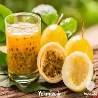 کارگاه آموزشی گلخانه پشن فروت در گروه دوره آموزش کشاورزی در یکمیوه