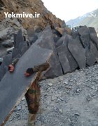 نصب فروش سنگ لاشه در تهران در گروه سازنده در یکمیوه