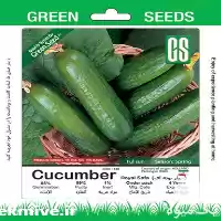 قیمت خرید بذر خیار صفا بذر در مشهد در گروه خرید و فروش بذر خیار در یکمیوه