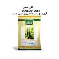 فروش بذر خیار گلخانه ای گالاردو در گروه خرید و فروش بذر خیار در یکمیوه