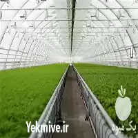 فروش ساخت انواع سازه های گلخانه در هرمز در گروه خرید و فروش سوله و سازه گلخانه در یکمیوه