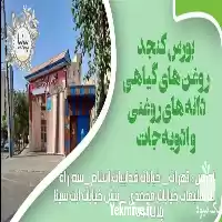 فروش دانه کتان عمده در تهران در گروه خرید و فروش دانه های روغنی در یکمیوه