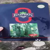 عرضه و فروش بذر خیار گلخانه در بیرجند در گروه خرید و فروش بذر خیار در یکمیوه