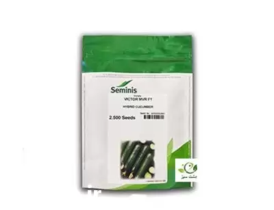 قیمت خرید بذر خیار پر محصول در تبریز در گروه خرید و فروش بذر خیار در یکمیوه -عکس1