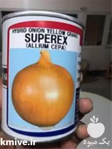 قیمت خرید بذر پیاز مدل تاکی در ساری در گروه خرید و فروش بذر پیاز در یکمیوه -عکس1