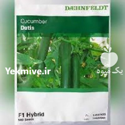 فروش بذر خیار درختی گلخانه ای در گروه خرید و فروش بذر خیار در یکمیوه -عکس1