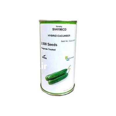 فروش بذر خیار هیبرید SV 4196 در اهواز در گروه خرید و فروش بذر خیار در یکمیوه -عکس1