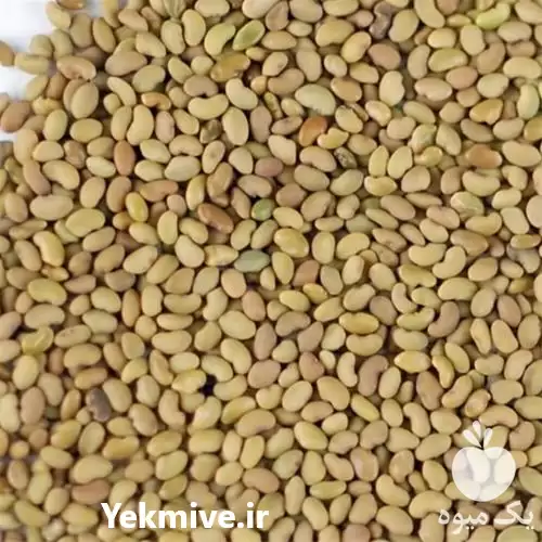 قیمت خرید بذر یونجه در تبریز در گروه خرید و فروش بذر یونجه در یکمیوه -عکس1