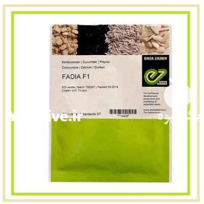 فروش بذر خیار فادیا انزازادن هلند در اهواز در گروه خرید و فروش بذر خیار در یکمیوه -عکس1