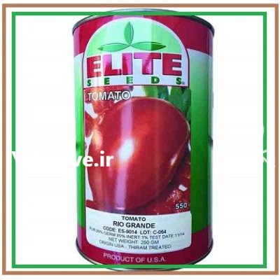 فروش بذر گوجه ریوگرند الیت GRANDE در اهواز در گروه خرید و فروش بذر گوجه در یکمیوه -عکس1