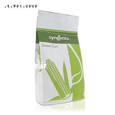 بذر ذرت شیرین اکسن چوییت در گروه خرید و فروش بذر ذرت در یکمیوه -عکس1