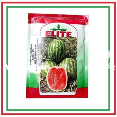 بذر هندوانه هیبرید عرش الیت بذر در گروه خرید و فروش بذر هندوانه در یکمیوه -عکس1