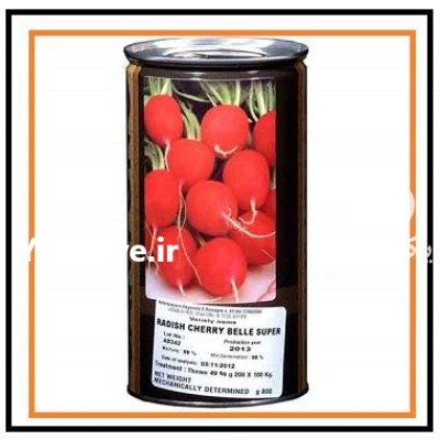 بذر تربچه چریبل استاندارد کانیون بذر در اهواز در گروه خرید و فروش انواع بذر در یکمیوه -عکس1