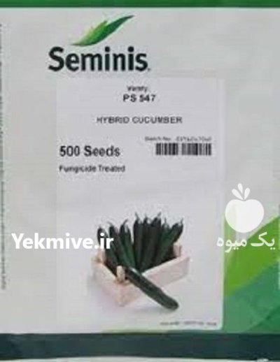 فروش بذر خیار سمینیس بذر در اهواز در گروه خرید و فروش بذر خیار در یکمیوه -عکس1