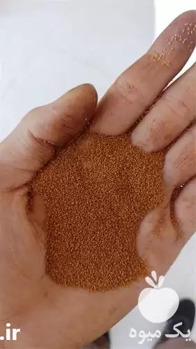 قیمت خرید تامین گیاهان دارویی در گروه خرید و فروش گیاهان دارویی در یکمیوه -عکس1