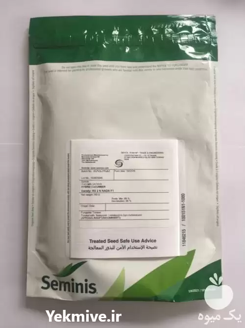قیمت خرید بذر خیار بذر خیار در گروه خرید و فروش بذر خیار در یکمیوه -عکس1