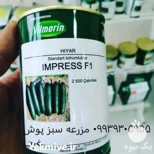 فروش 	بذر خیار امپرس ویلمورین فرانسه در تهران در گروه خرید و فروش بذر خیار در یکمیوه -عکس1