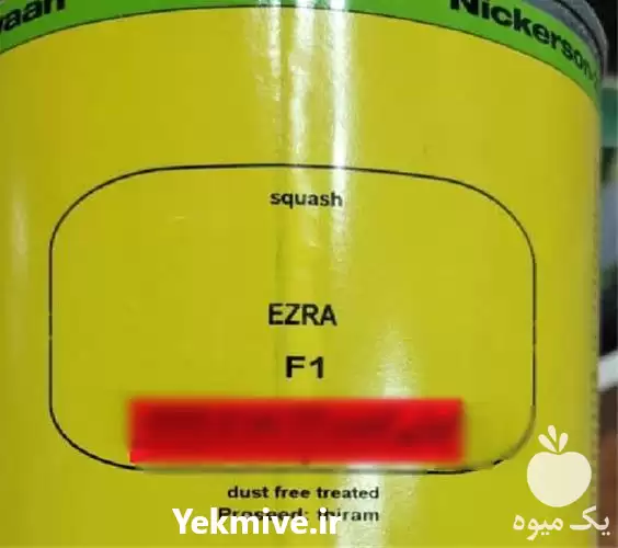 قیمت خرید بذر کدو سبز ازرا در هرمز در گروه خرید و فروش بذر کدو در یکمیوه -عکس1