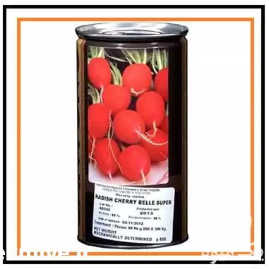 فروش بذر تربچه چریبل استاندارد کانیون در گروه خرید و فروش انواع بذر در یکمیوه -عکس1