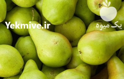 فروش آلو و گلابی بهشتی در قزوین در گروه خرید و فروش گلابی در یکمیوه -عکس1