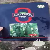 قیمت خرید بذر خیار دارای بوته در مشهد در گروه خرید و فروش بذر خیار در یکمیوه