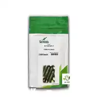 قیمت خرید بذر خیار پر محصول در تبریز در گروه خرید و فروش بذر خیار در یکمیوه