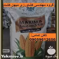 بذر ذرت مرغوب دو منظوره برند در اهواز در گروه خرید و فروش بذر ذرت در یکمیوه