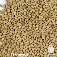 قیمت خرید بذر یونجه در تبریز در گروه خرید و فروش بذر یونجه در یکمیوه