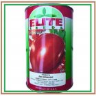 فروش بذر گوجه ریوگرند الیت GRANDE در اهواز در گروه خرید و فروش بذر گوجه در یکمیوه