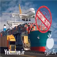 بازرگانی زهرائی کارگزار رسمی گمرک ایران در گروه ترخیص کالا در یکمیوه