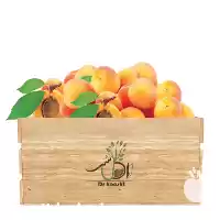 قیمت خرید نهال زردآلو پرتقالی انواع در ارومیه در گروه خرید و فروش نهال میوه در یکمیوه