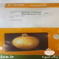 فروش بذر پیاز ریو براوو در گروه خرید و فروش بذر پیاز در یکمیوه