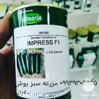 فروش 	بذر خیار امپرس ویلمورین فرانسه در تهران در گروه خرید و فروش بذر خیار در یکمیوه