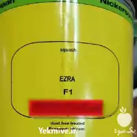 قیمت خرید بذر کدو سبز ازرا در هرمز در گروه خرید و فروش بذر کدو در یکمیوه