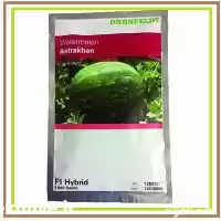 قیمت خرید بذر هندوانه آسترا خان در مشهد در گروه خرید و فروش بذر هندوانه در یکمیوه