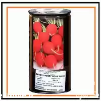 فروش بذر تربچه چریبل استاندارد کانیون در گروه خرید و فروش انواع بذر در یکمیوه