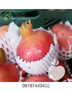 فروش فوم توری میوه در ارومیه در گروه انواع بسته بندی محصول در یکمیوه -عکس1