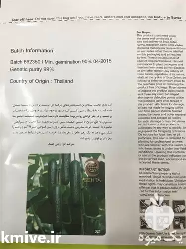 فروش بذر خیار گلخانه ای ناگین در گروه خرید و فروش بذر خیار در یکمیوه -عکس1